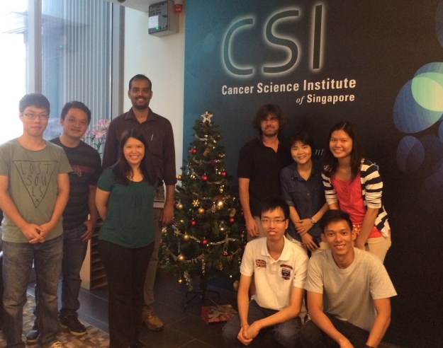 Lab Dec 2014